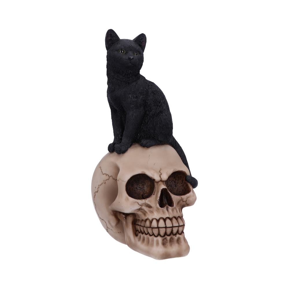 Black Witches Cat and Skull Figurine.