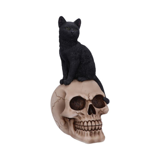 Black Witches Cat and Skull Figurine.
