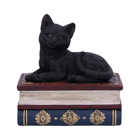Witches Familiar Black Cat and Spellbook Box.