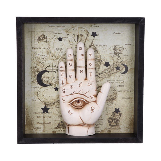 Framed Chiromancy Wall Mounted Art.