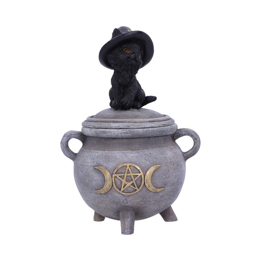 Witch Cat Cauldron Box.