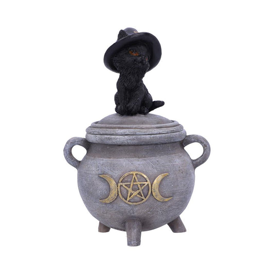 Witch Cat Cauldron Box.