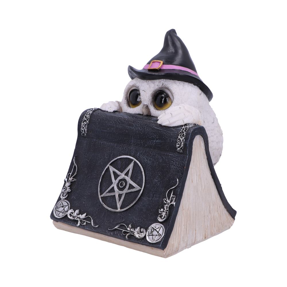 Owl with book figurine.