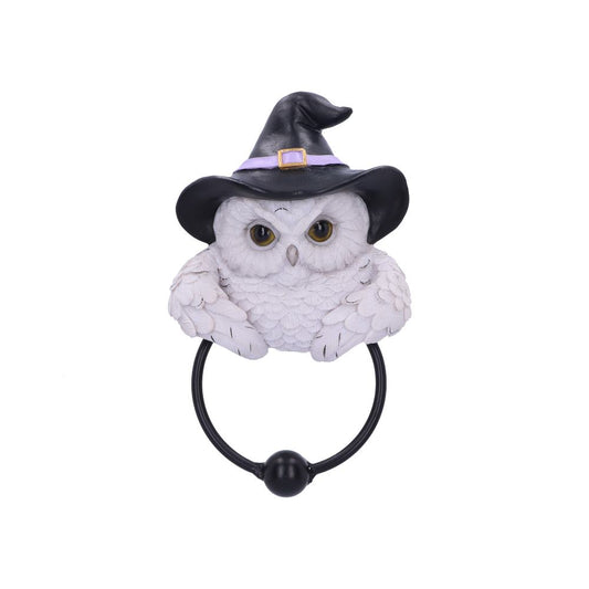 Charming snowy owl door knocker.