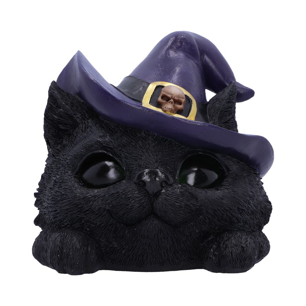 Black cat head