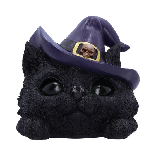 Black cat head