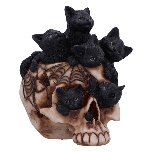 Unique Skull Design