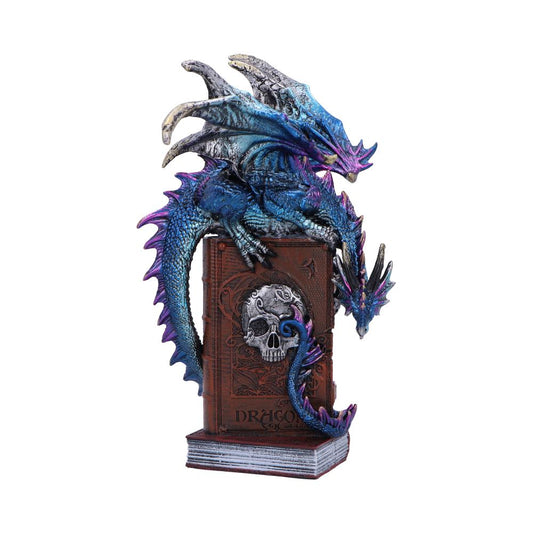 Dragon on Skull Book Figurine