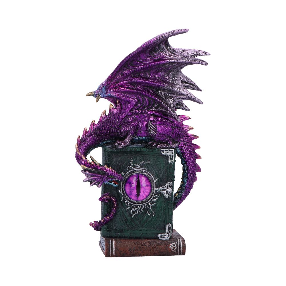 Purple Dragon on Book