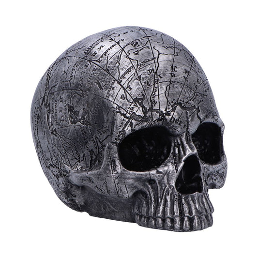 Skull head with map print