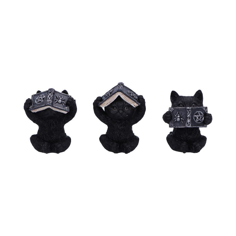 Three Wise Witchy Black Cats