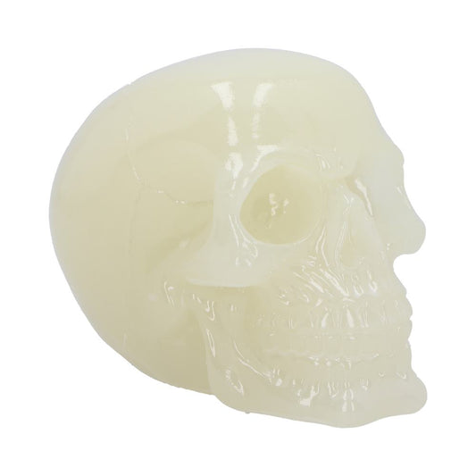 Glow in the dark skull ornament