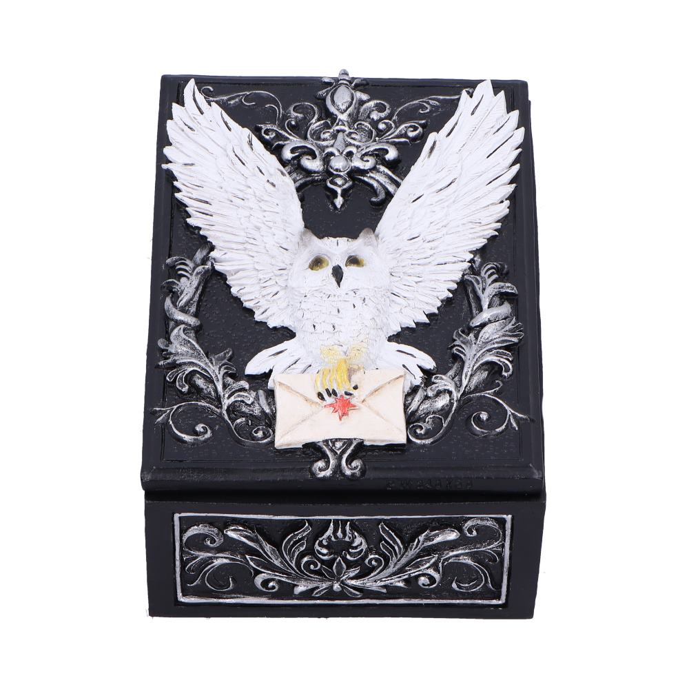 Mystical trinket box featuring a white snowy owl with a sealed letter.