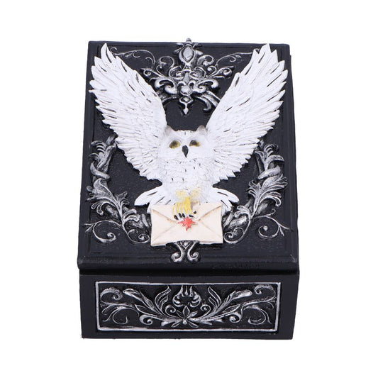 Mystical trinket box featuring a white snowy owl with a sealed letter.