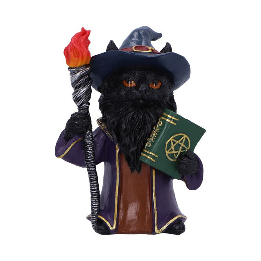 Highly detailed resin figurine of a magical wizard cat.