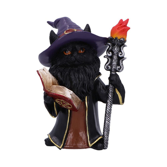 Detailed resin figurine of a fantasy inspired  wizard cat.