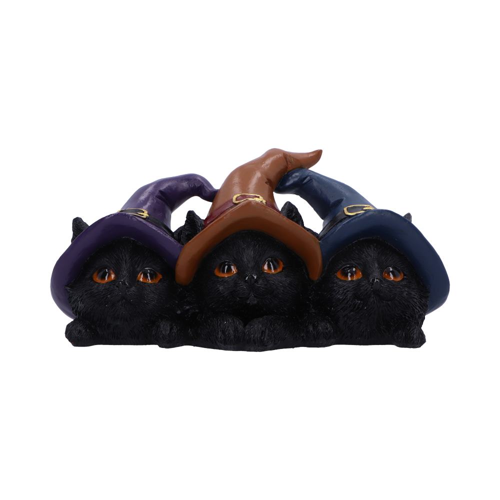 Set of three black cats, each wearing a different colored witchs hat