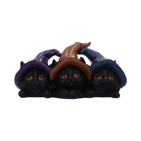 Set of three black cats, each wearing a different colored witchs hat